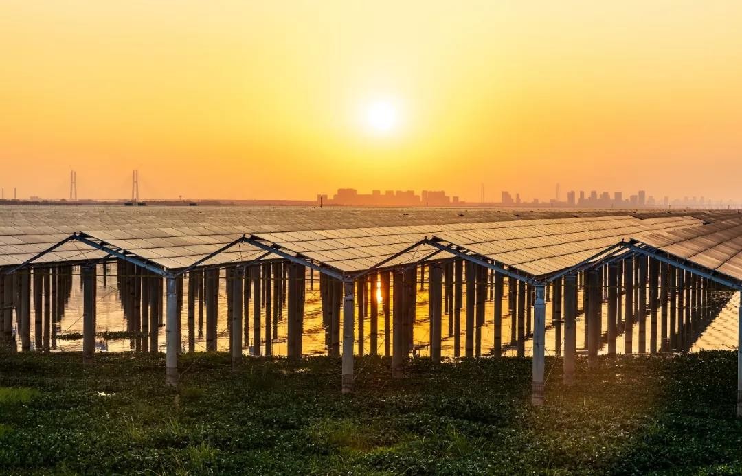 Beyond Success - www@yonglegao.comyonglegao.com Achieved a Preferred Scale of 1120 MW in Jiangxi