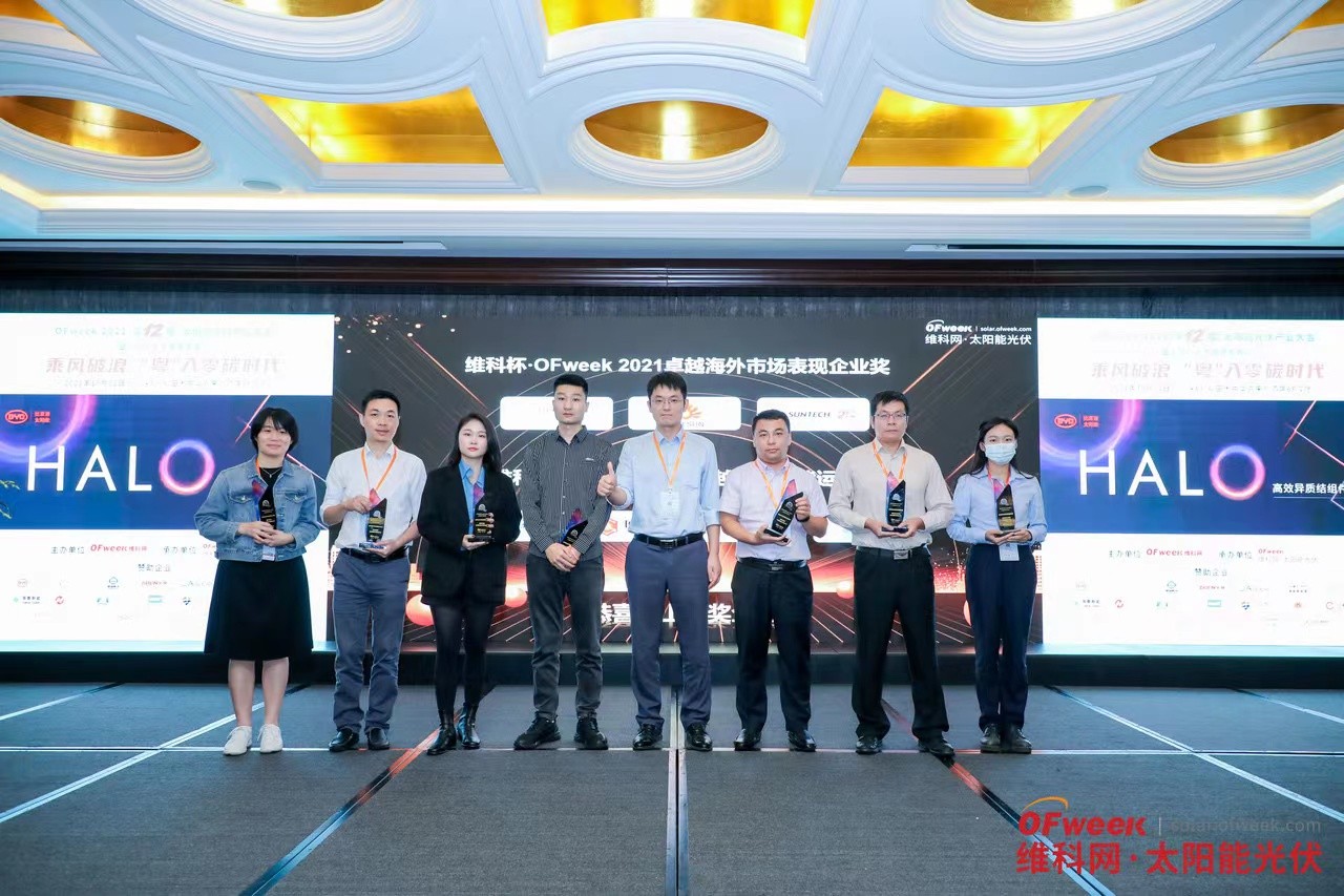 www@yonglegao.comyonglegao.com Wins the Award for Excellence in Overseas Market Performance 2021